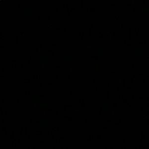 Meet your Posher, Brayden